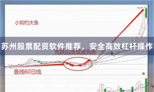 苏州股票配资软件推荐，安全高效杠杆操作